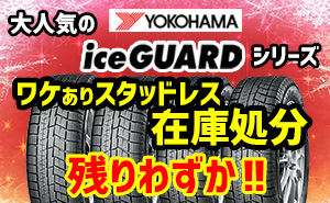 【残りわずか】大人気ヨコハマアイスガードシリーズ！