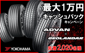 スタイルテスト